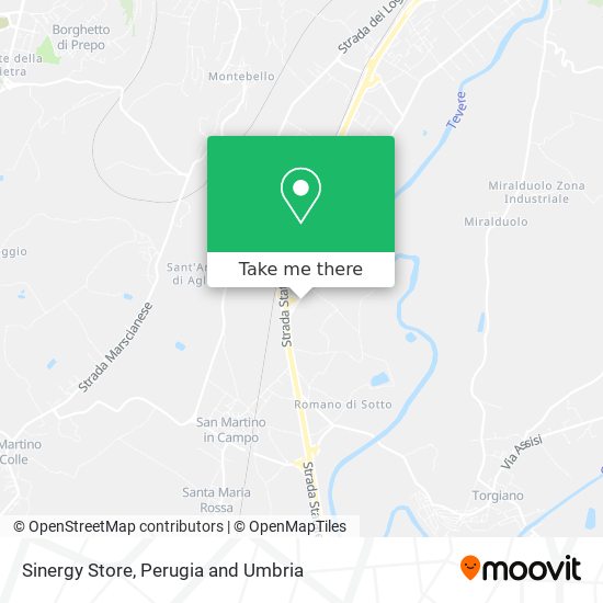 Sinergy Store map