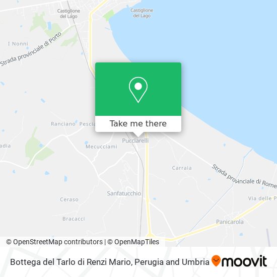 Bottega del Tarlo di Renzi Mario map