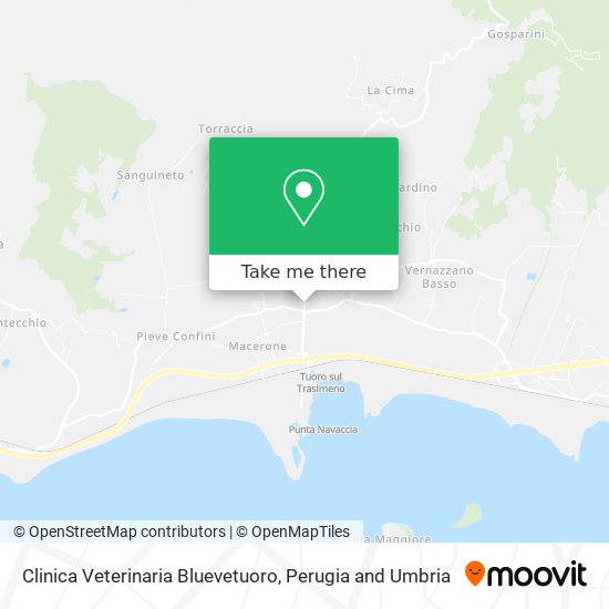 Clinica Veterinaria Bluevetuoro map