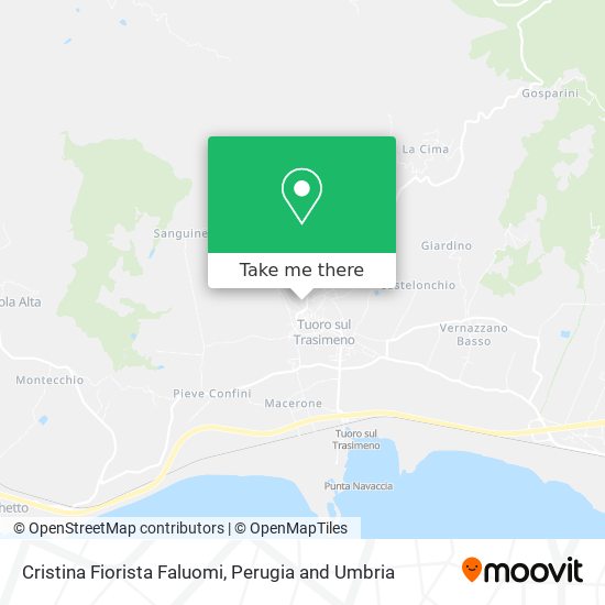 Cristina Fiorista Faluomi map