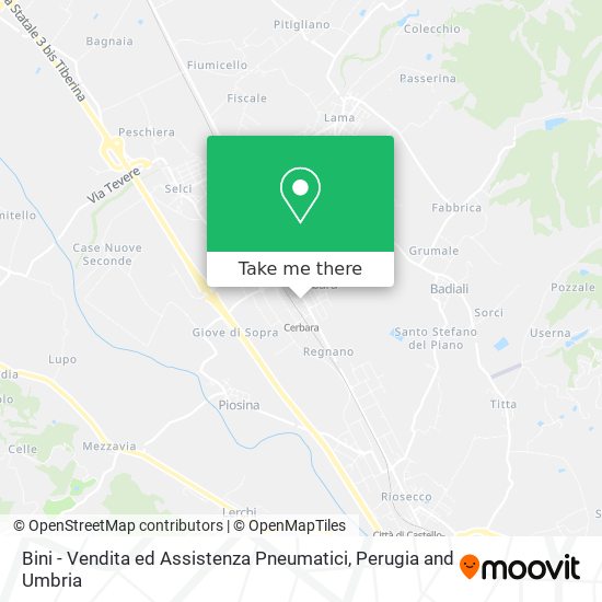 Bini - Vendita ed Assistenza Pneumatici map