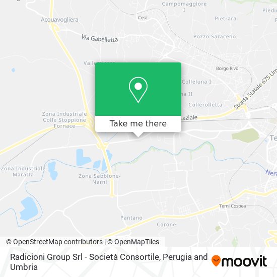 Radicioni Group Srl - Società Consortile map