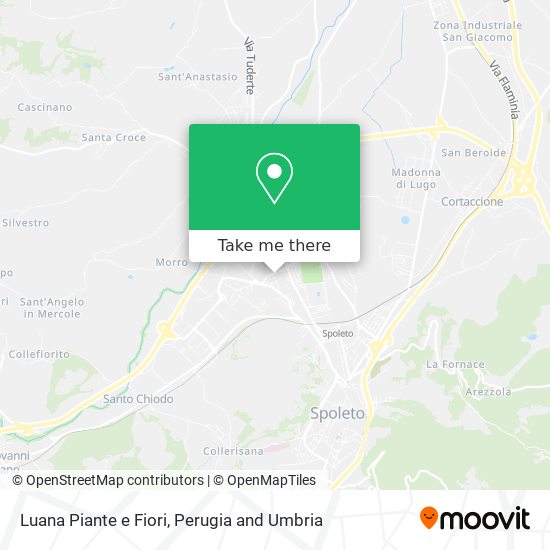 Luana Piante e Fiori map