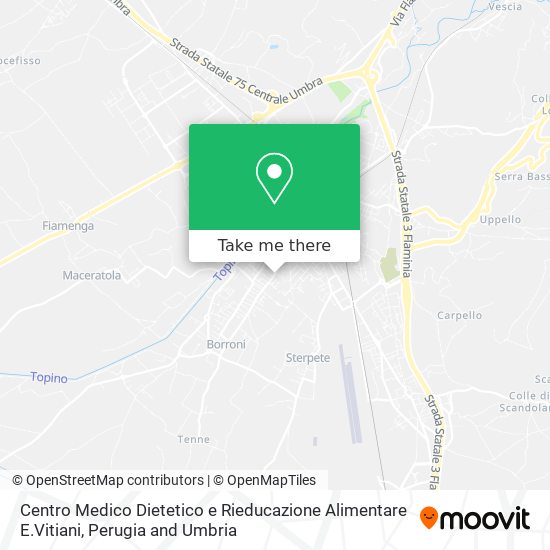 Centro Medico Dietetico e Rieducazione Alimentare E.Vitiani map