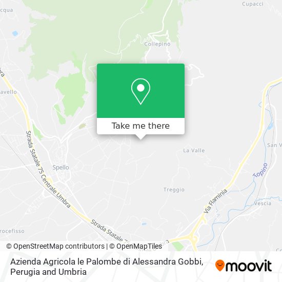 Azienda Agricola le Palombe di Alessandra Gobbi map