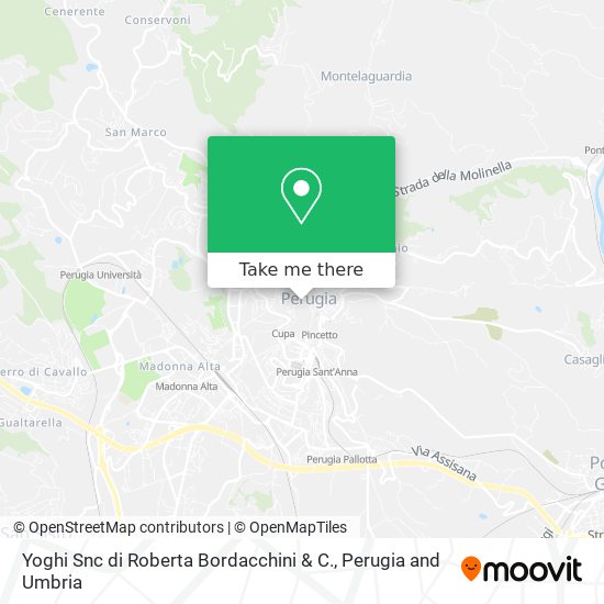 Yoghi Snc di Roberta Bordacchini & C. map
