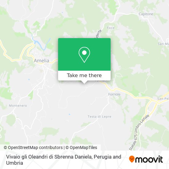 Vivaio gli Oleandri di Sbrenna Daniela map