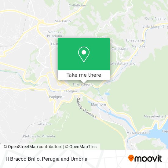 Il Bracco Brillo map