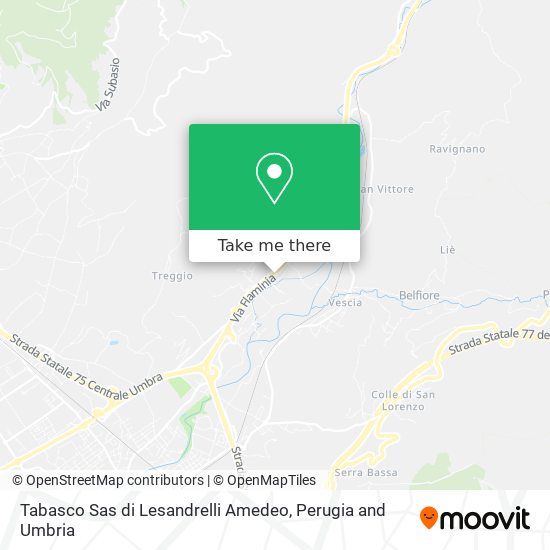 Tabasco Sas di Lesandrelli Amedeo map