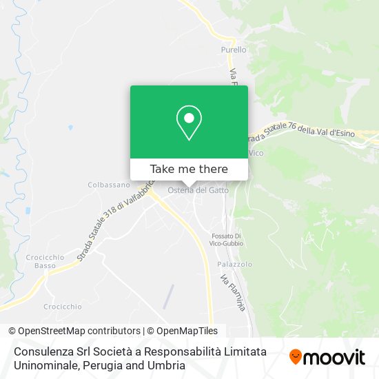 Consulenza Srl Società a Responsabilità Limitata Uninominale map