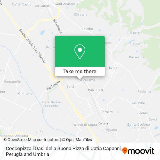 Coccopizza l'Oasi della Buona Pizza di Catia Capanni map