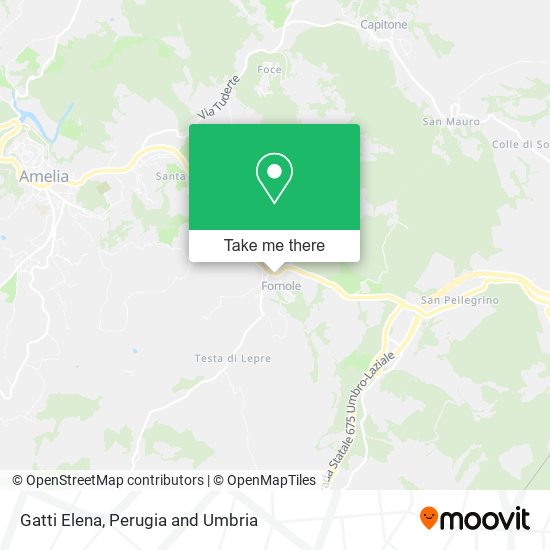 Gatti Elena map