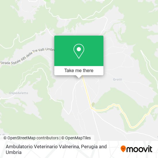 Ambulatorio Veterinario Valnerina map