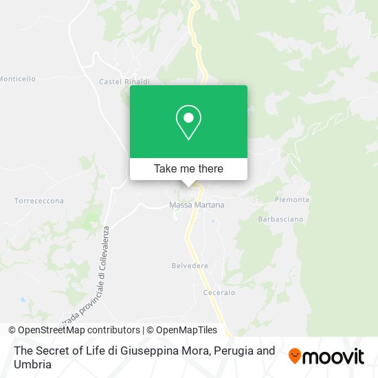 The Secret of Life di Giuseppina Mora map