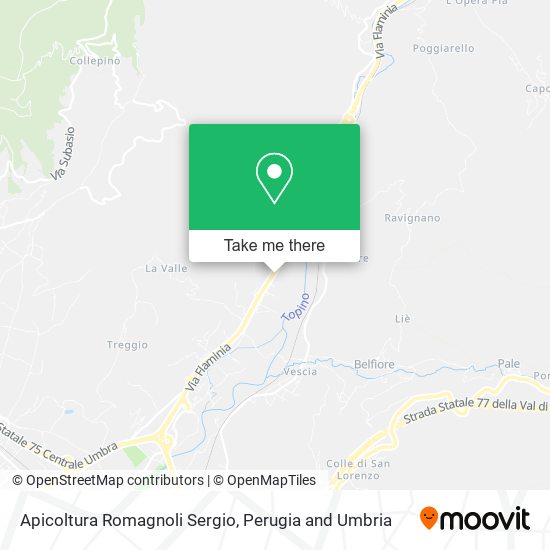 Apicoltura Romagnoli Sergio map