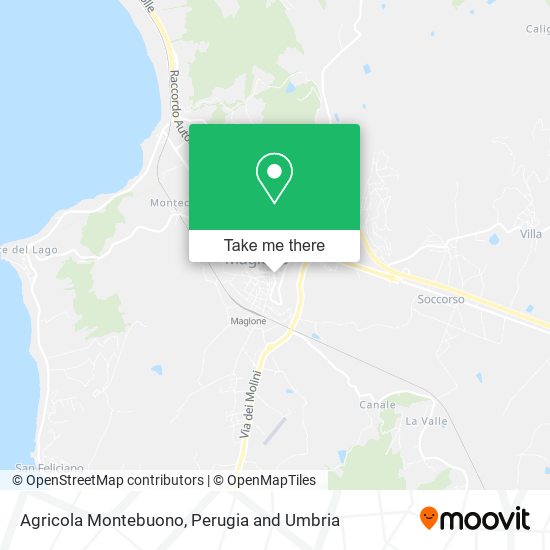 Agricola Montebuono map