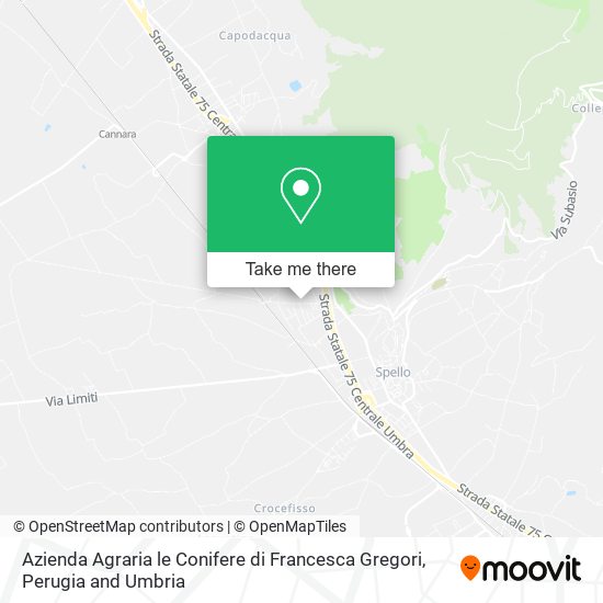 Azienda Agraria le Conifere di Francesca Gregori map