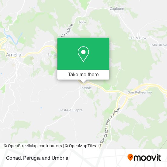 Conad map