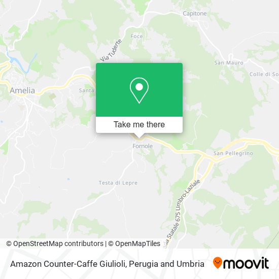 Amazon Counter-Caffe Giulioli map