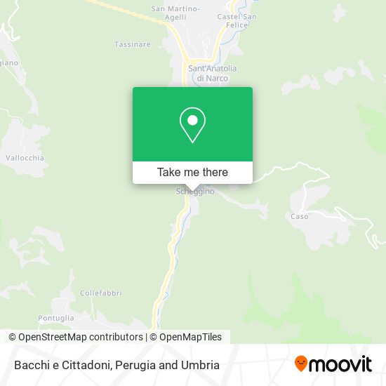 Bacchi e Cittadoni map