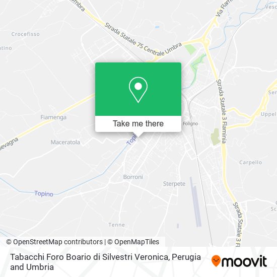 Tabacchi Foro Boario di Silvestri Veronica map