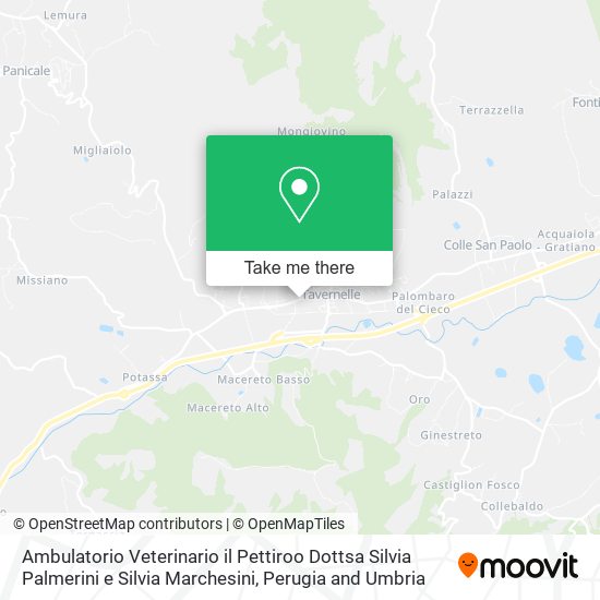 Ambulatorio Veterinario il Pettiroo Dottsa Silvia Palmerini e Silvia Marchesini map