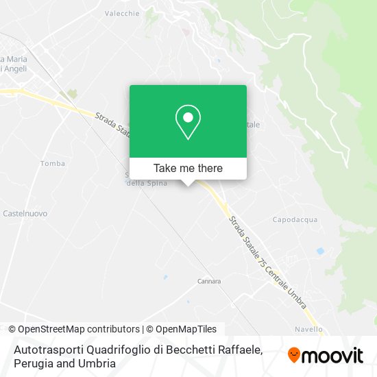 Autotrasporti Quadrifoglio di Becchetti Raffaele map