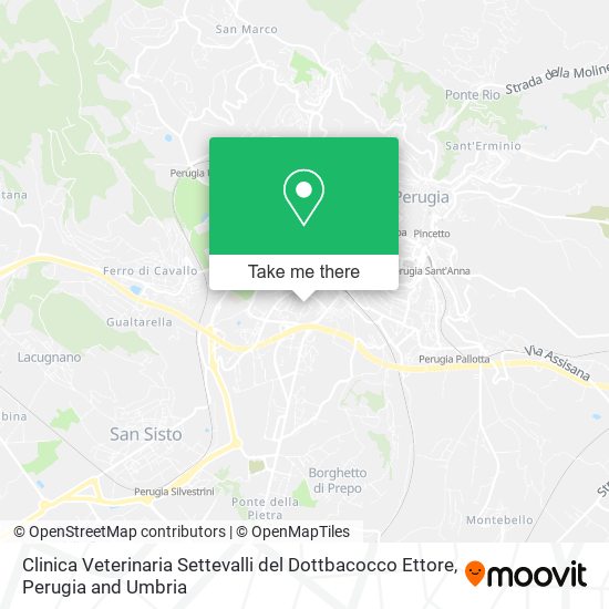 Clinica Veterinaria Settevalli del Dottbacocco Ettore map