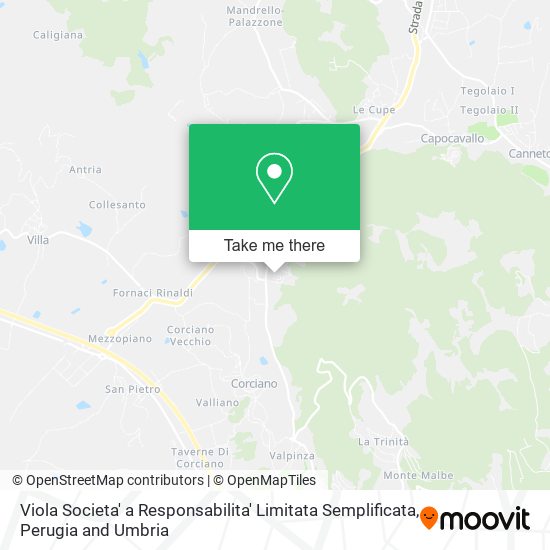 Viola Societa' a Responsabilita' Limitata Semplificata map