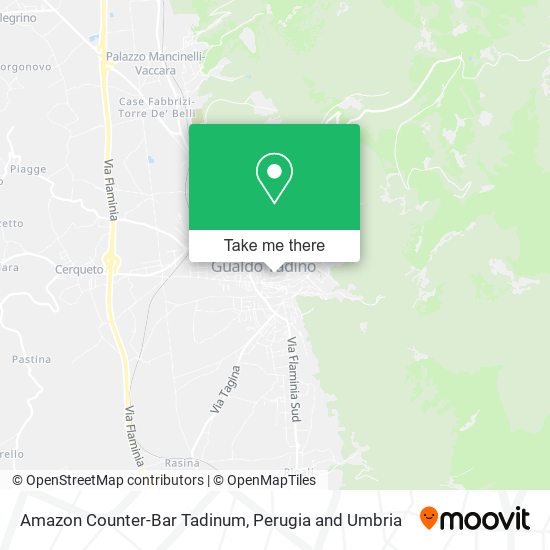 Amazon Counter-Bar Tadinum map