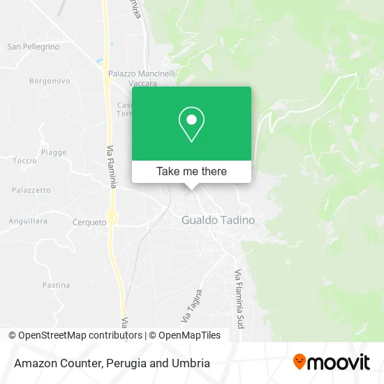 Amazon Counter map