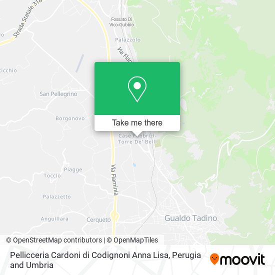 Pellicceria Cardoni di Codignoni Anna Lisa map