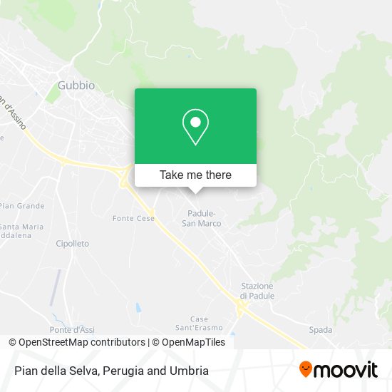 Pian della Selva map