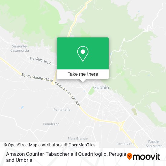 Amazon Counter-Tabaccheria il Quadrifoglio map