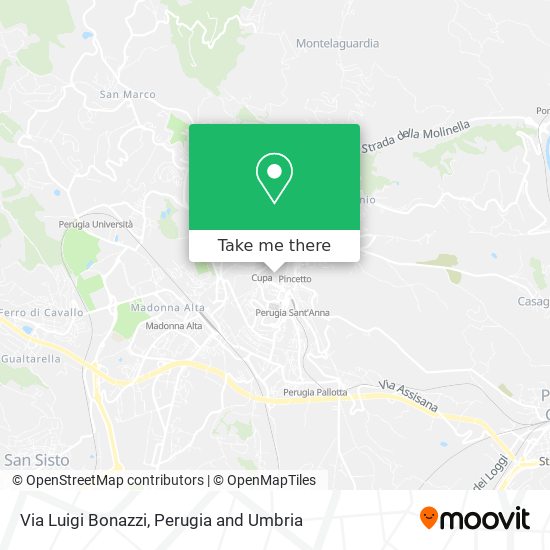 Via Luigi Bonazzi map