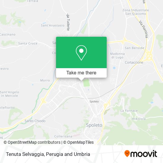 Tenuta Selvaggia map