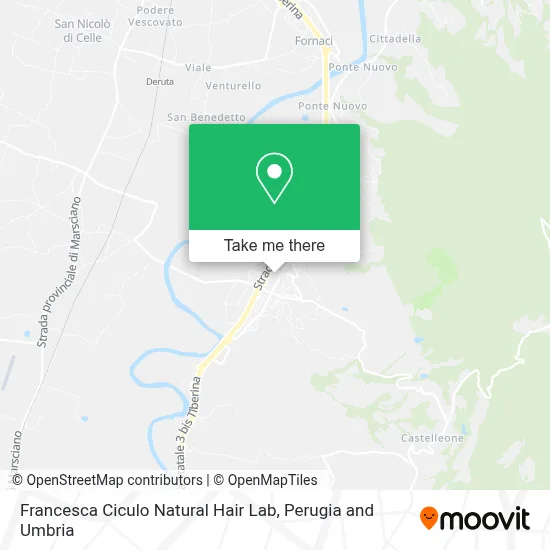 Francesca Ciculo Natural Hair Lab map