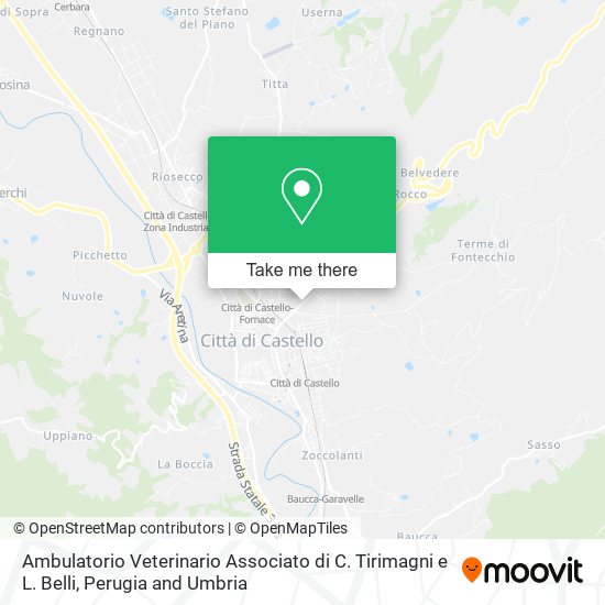 Ambulatorio Veterinario Associato di C. Tirimagni e L. Belli map