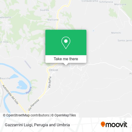 Gazzarrini Luigi map