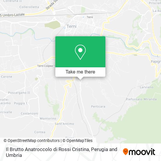 Il Brutto Anatroccolo di Rossi Cristina map