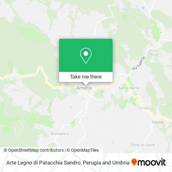 Arte Legno di Patacchia Sandro map