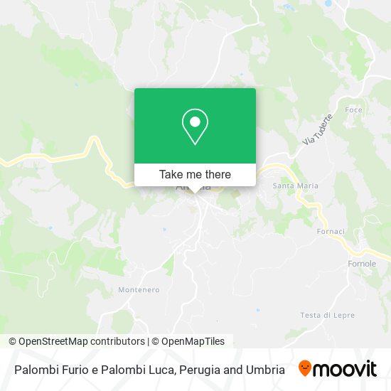 Palombi Furio e Palombi Luca map