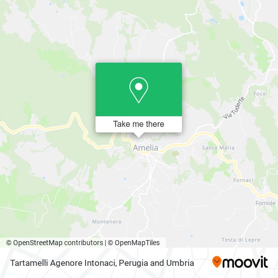 Tartamelli Agenore Intonaci map