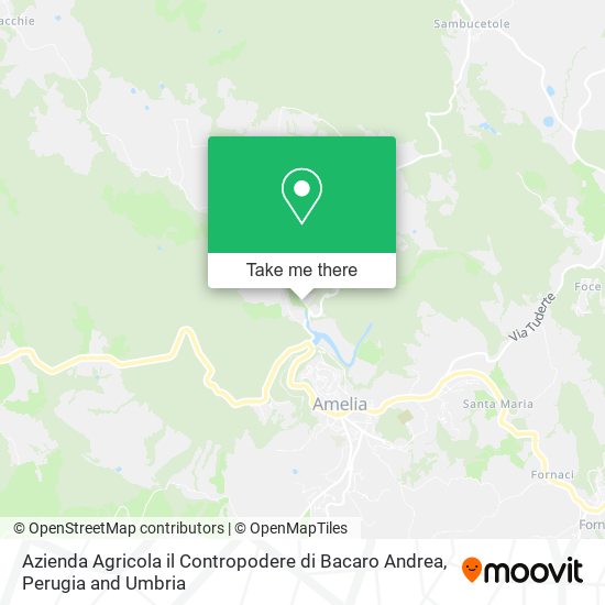 Azienda Agricola il Contropodere di Bacaro Andrea map