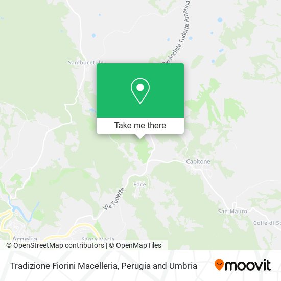Tradizione Fiorini Macelleria map