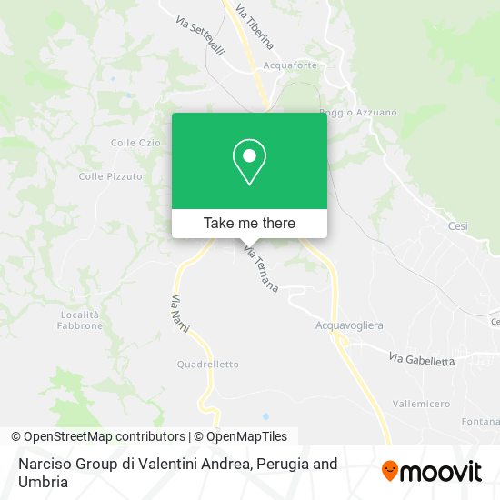 Narciso Group di Valentini Andrea map