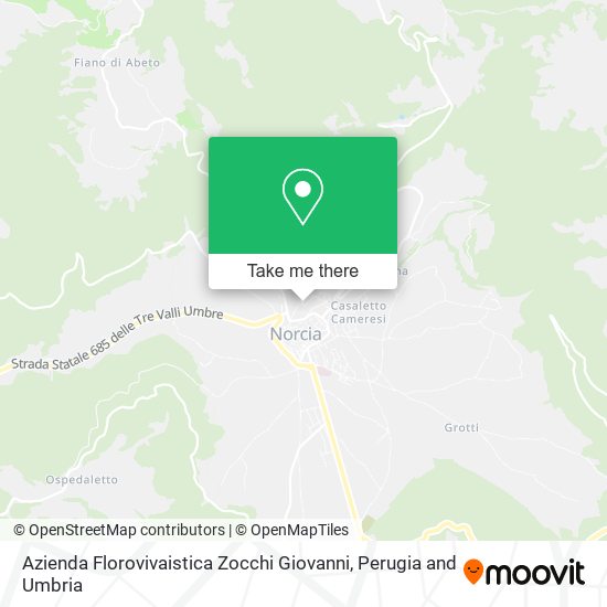 Azienda Florovivaistica Zocchi Giovanni map