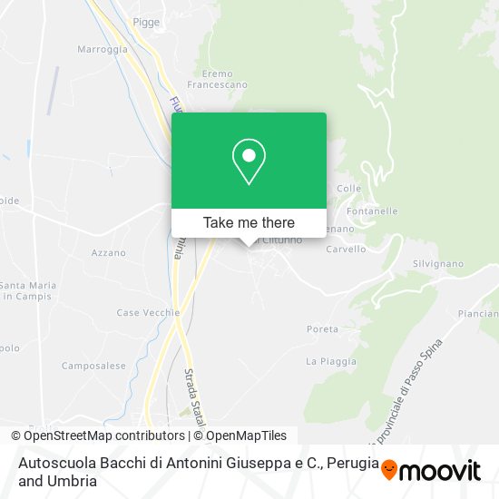 Autoscuola Bacchi di Antonini Giuseppa e C. map