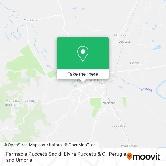 Farmacia Puccetti Snc di Elvira Puccetti & C. map
