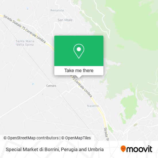 Special Market di Borrini map